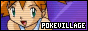Poke Village